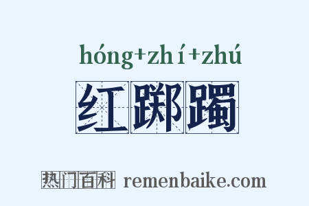 红踯躅是什么意思的图片